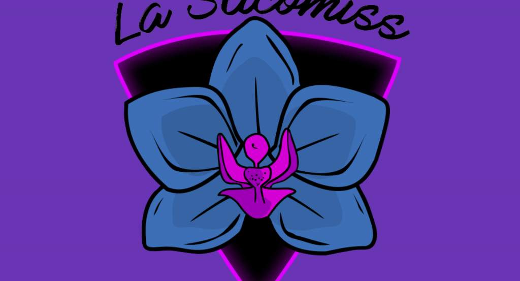 actualité LA STICOMISS