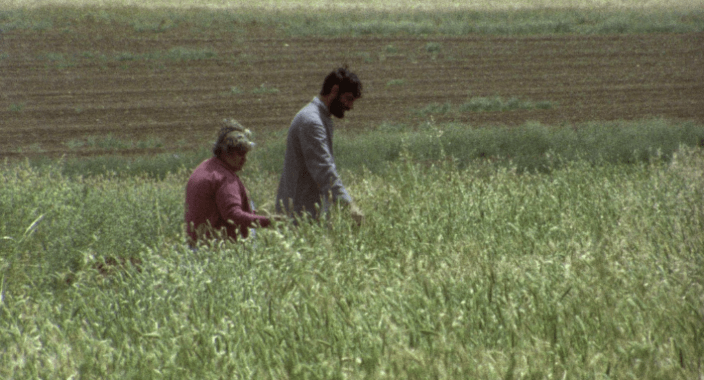 actualité LA MÉMOIRE FERTILE